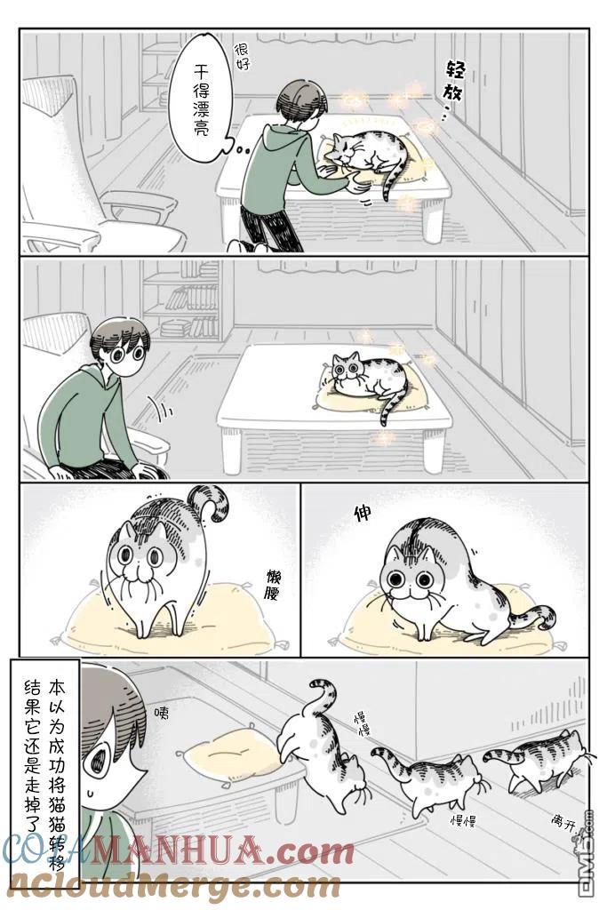 第86话-关于养猫我一直是新手-キュルZ（第2张）