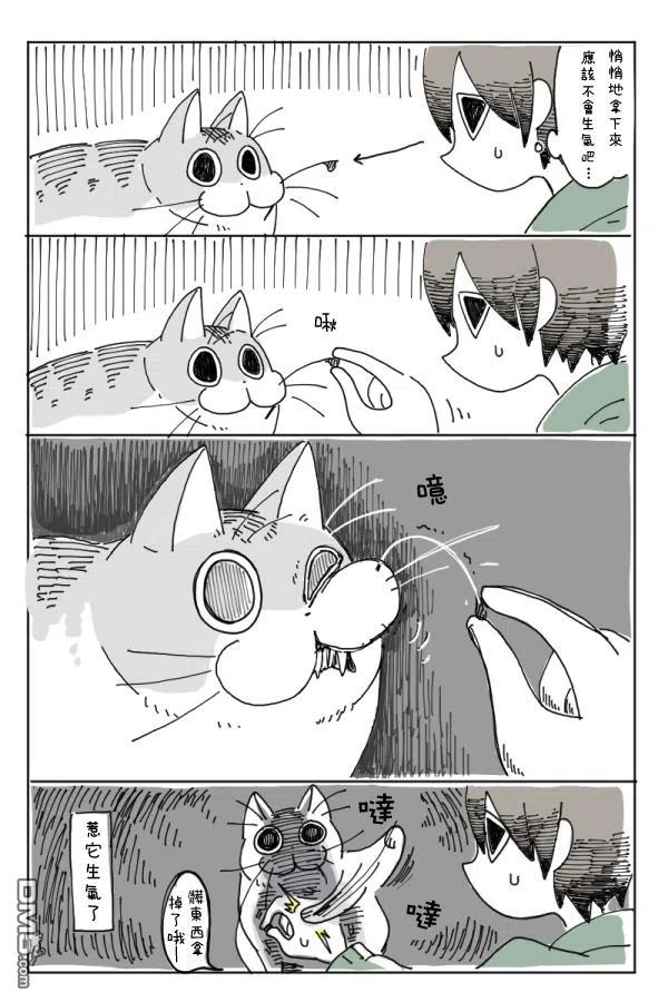 第4话-关于养猫我一直是新手-キュルZ（第7张）