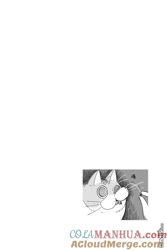 第4话-关于养猫我一直是新手-キュルZ（第4张）