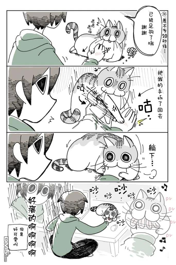 第4话-关于养猫我一直是新手-キュルZ（第5张）