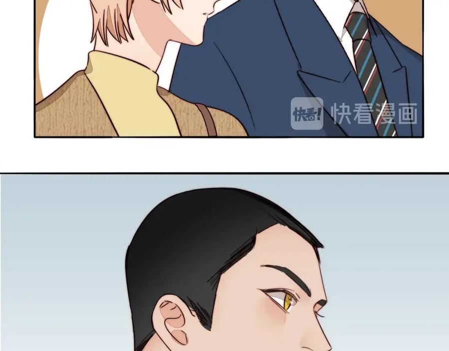 50.jpg