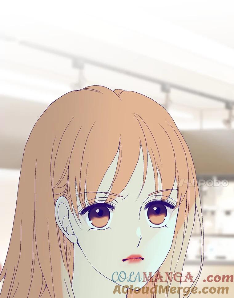 161.jpg