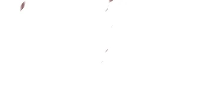 40.jpg