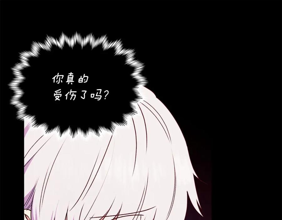 144.jpg