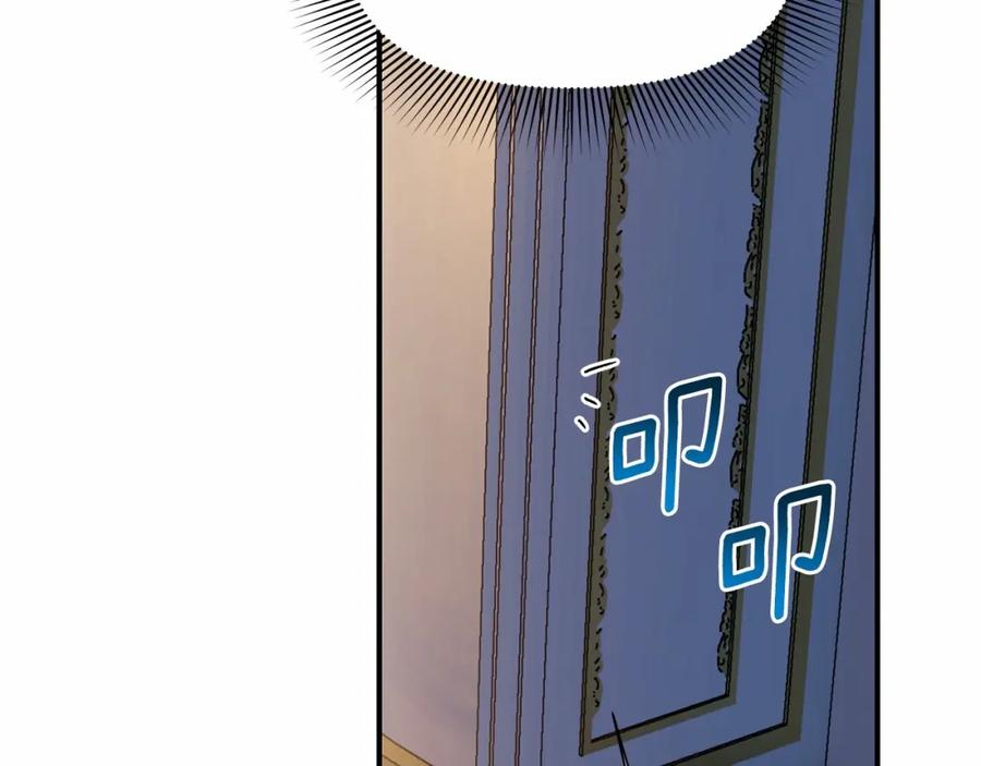 138.jpg