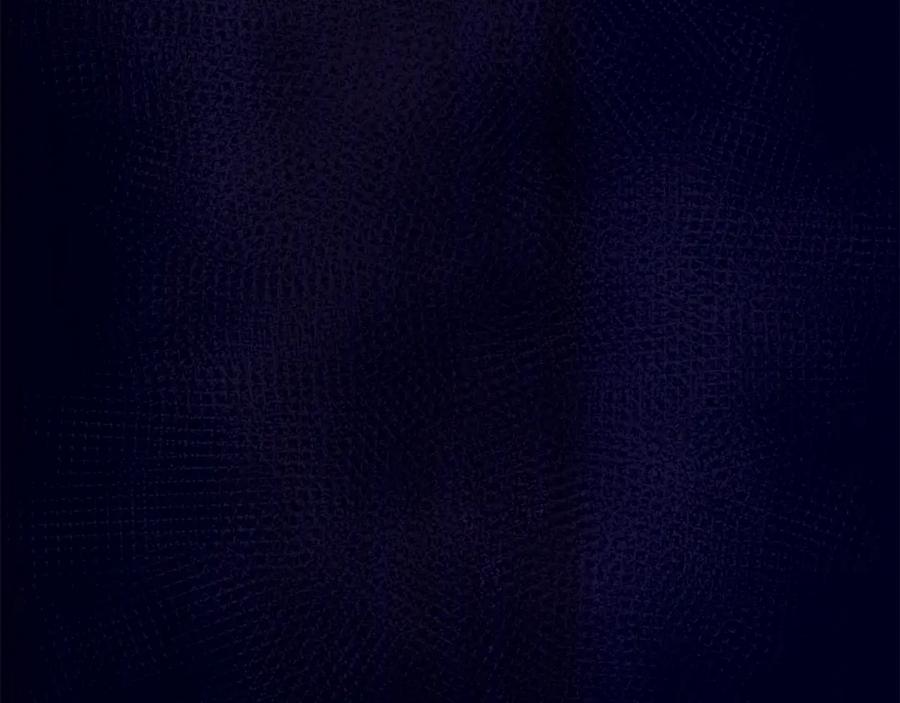 58.jpg