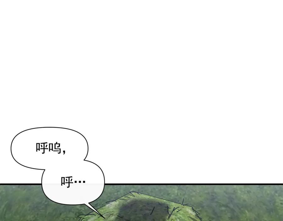 94.jpg