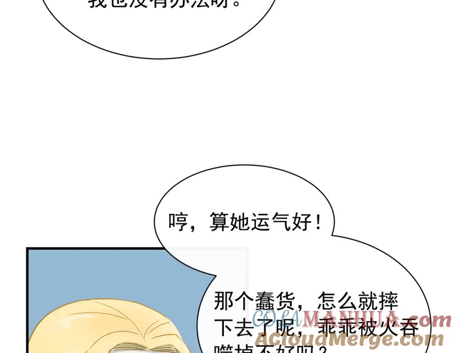 97.jpg