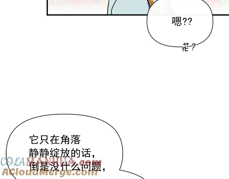 149.jpg