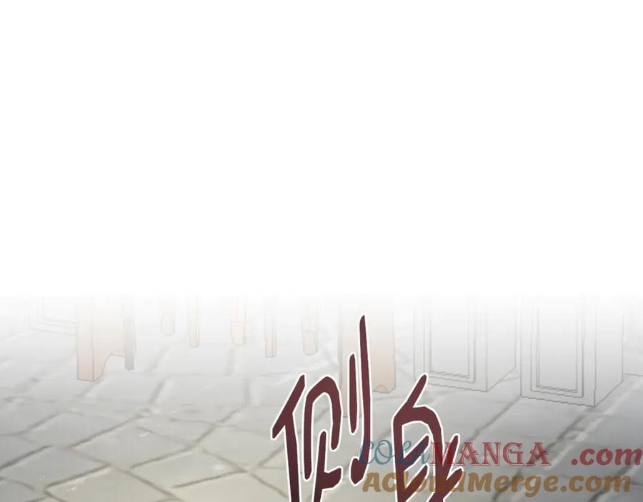 81.jpg
