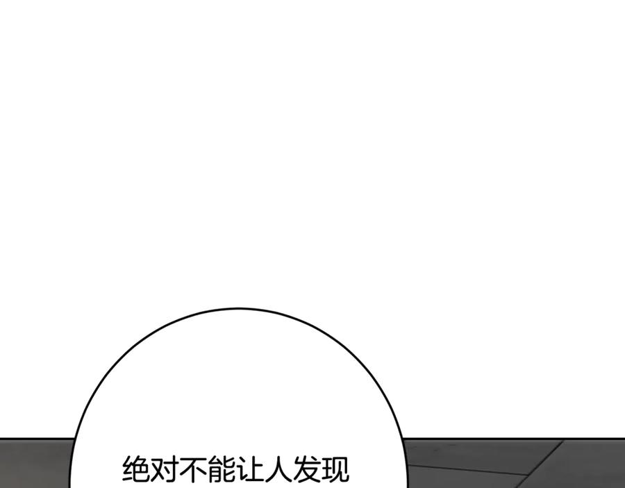 195.jpg
