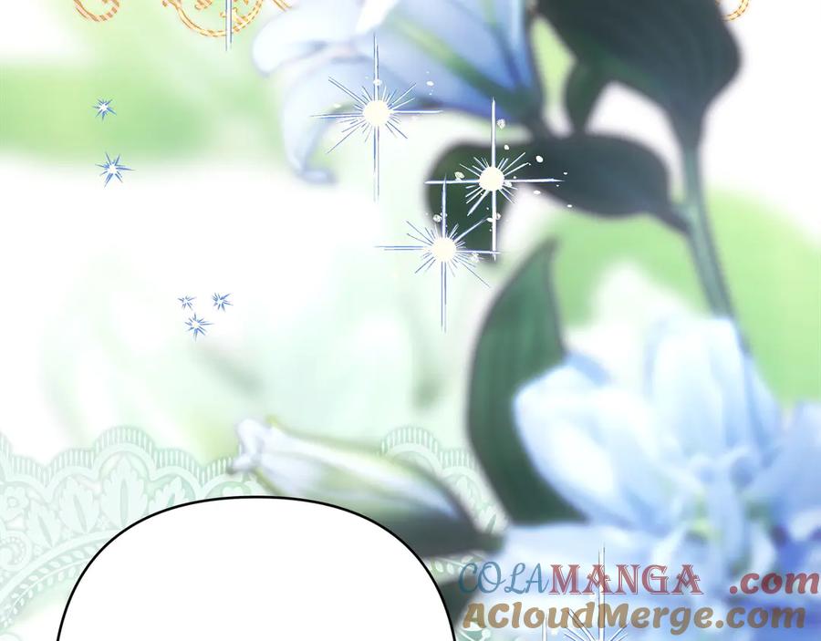 213.jpg