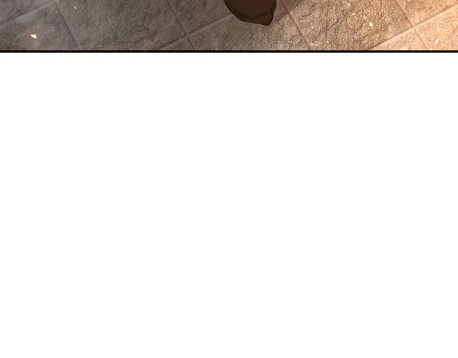 164.jpg