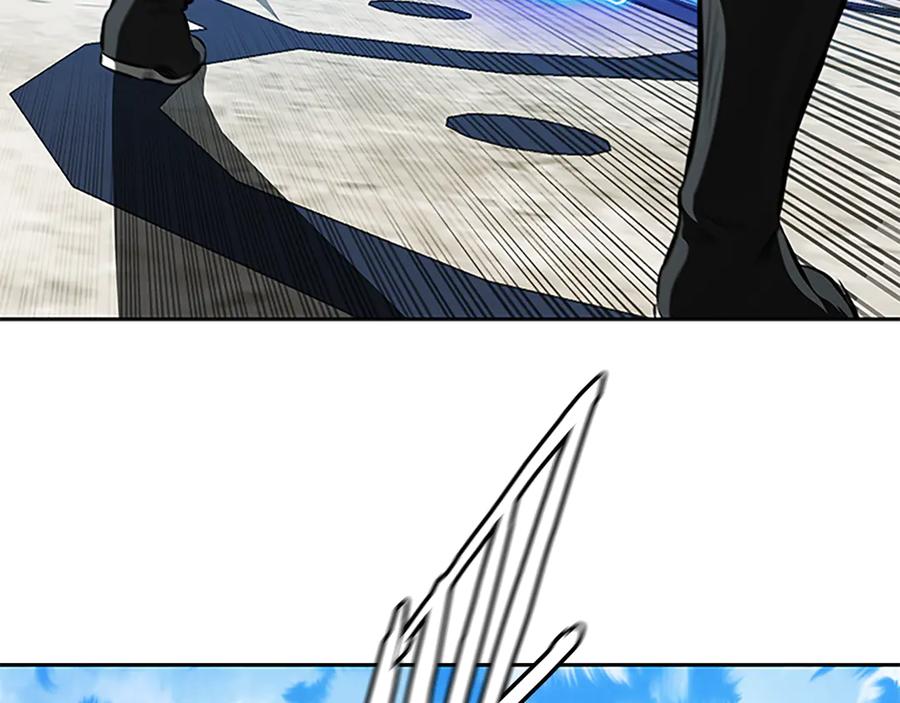 146.jpg