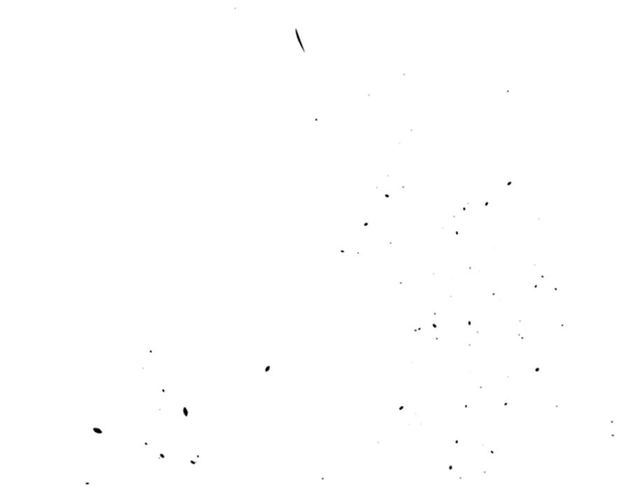 218.jpg