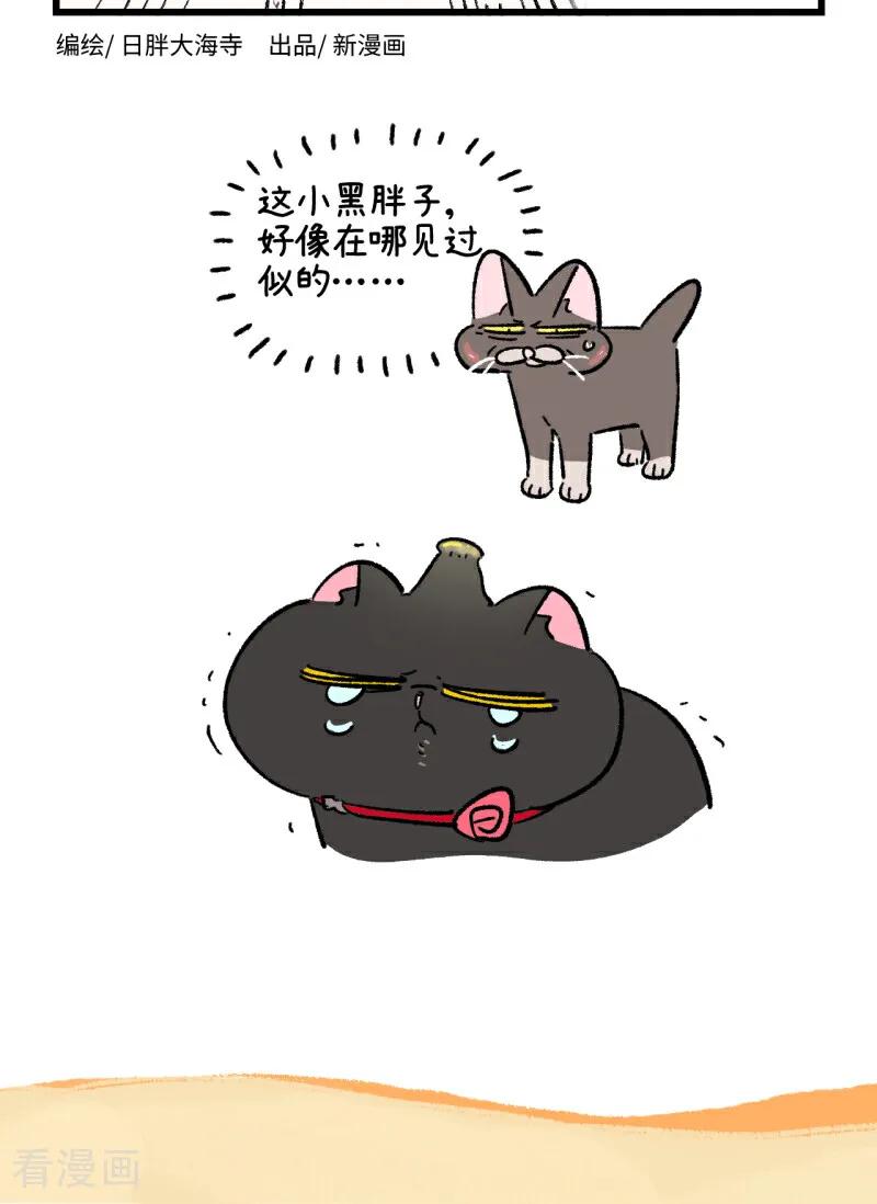 第251话-阿满和麦茶-新漫画 日胖大海寺（第16张）