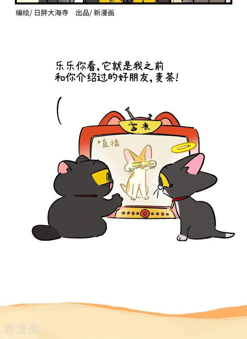 第251话-阿满和麦茶-新漫画 日胖大海寺（第14张）