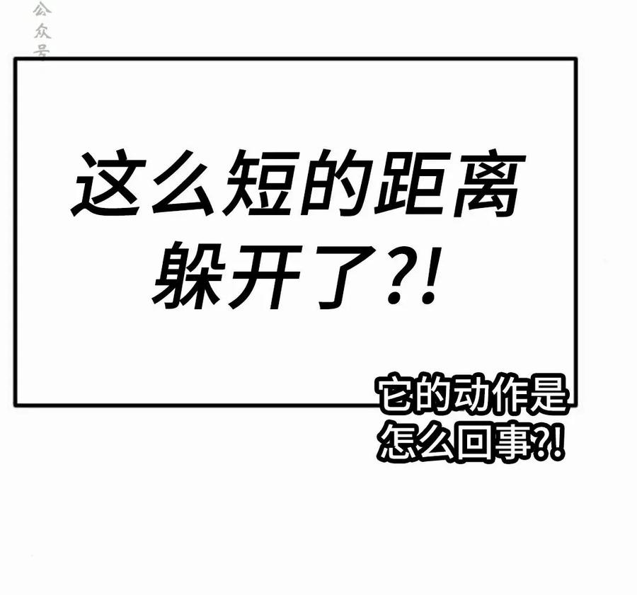 96.jpg