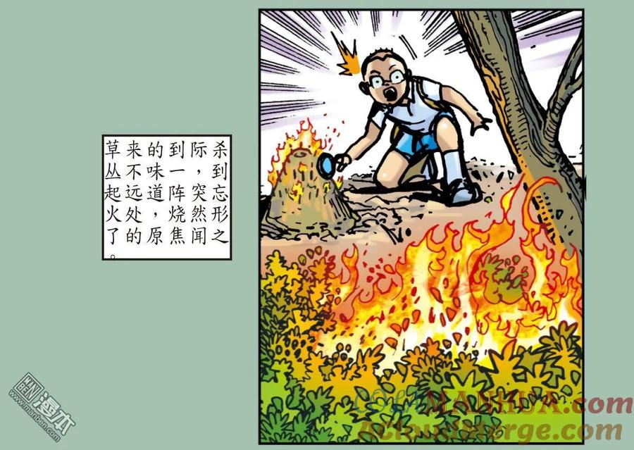 19.jpg