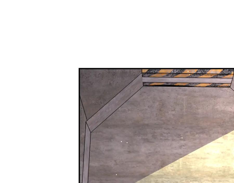 81.jpg
