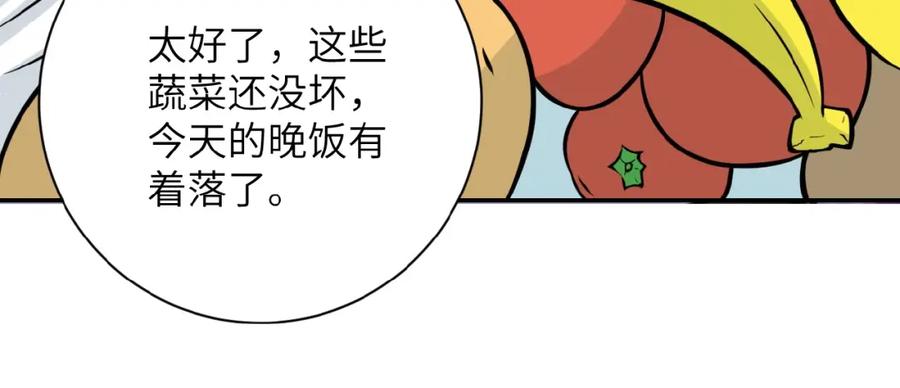 48.jpg