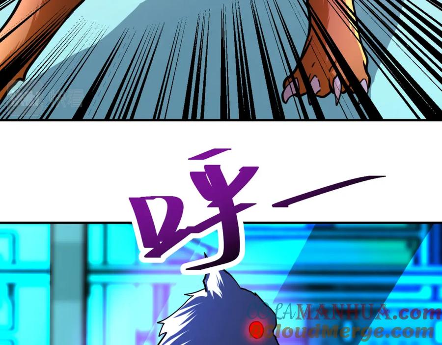 73.jpg