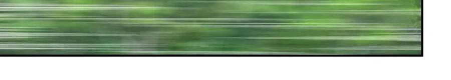 72.jpg