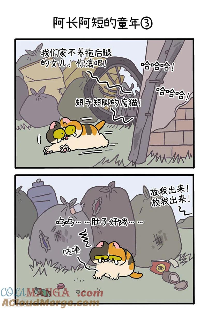 番外7上阿长阿短的童年-阿满和麦茶-新漫画 日胖大海寺（第5张）