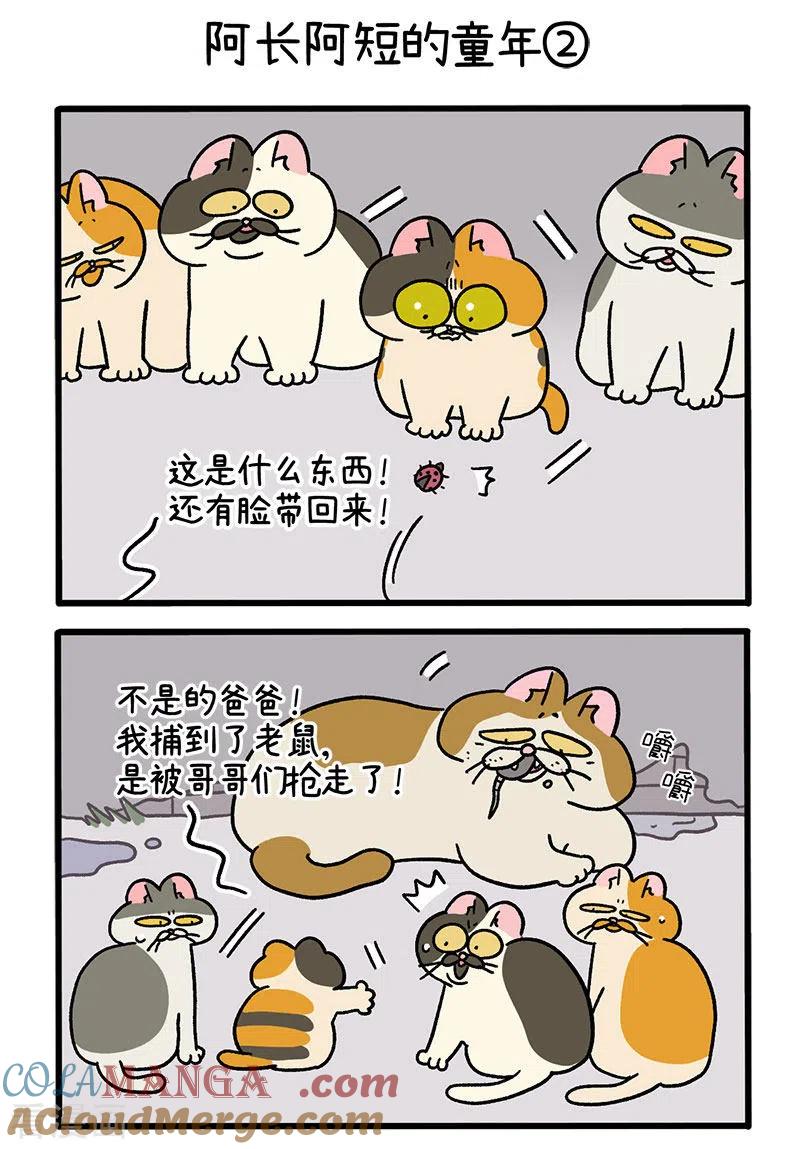 番外7上阿长阿短的童年-阿满和麦茶-新漫画 日胖大海寺（第3张）