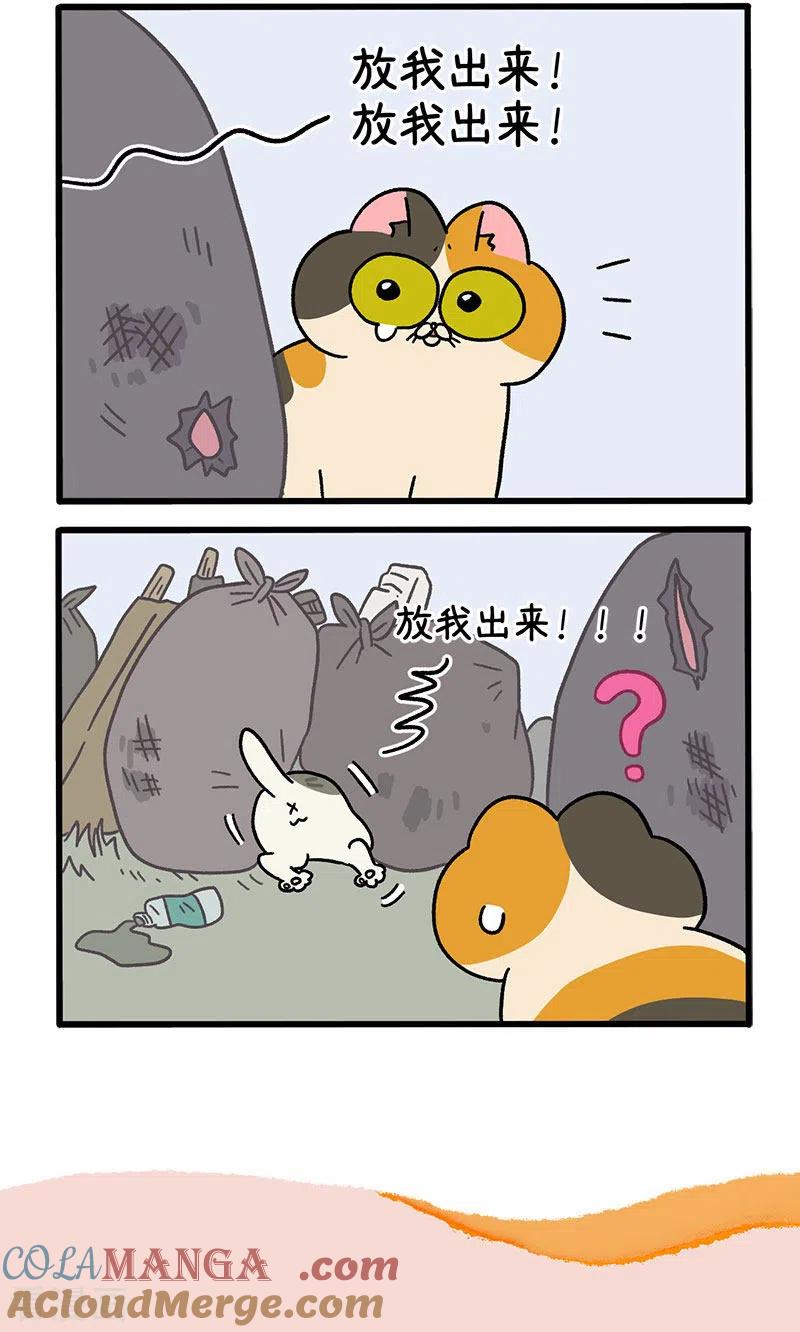 番外7上阿长阿短的童年-阿满和麦茶-新漫画 日胖大海寺（第6张）