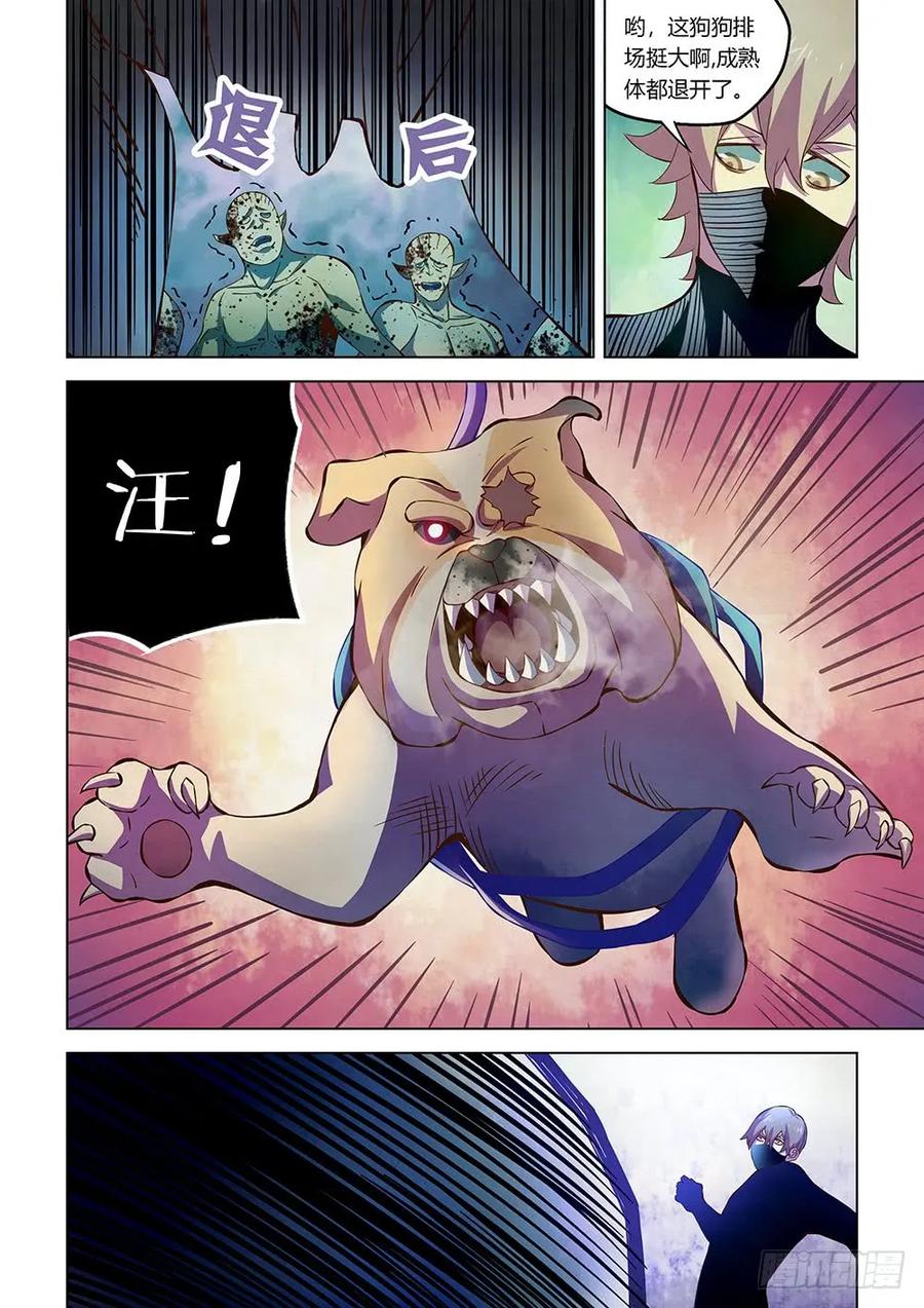 11.jpg
