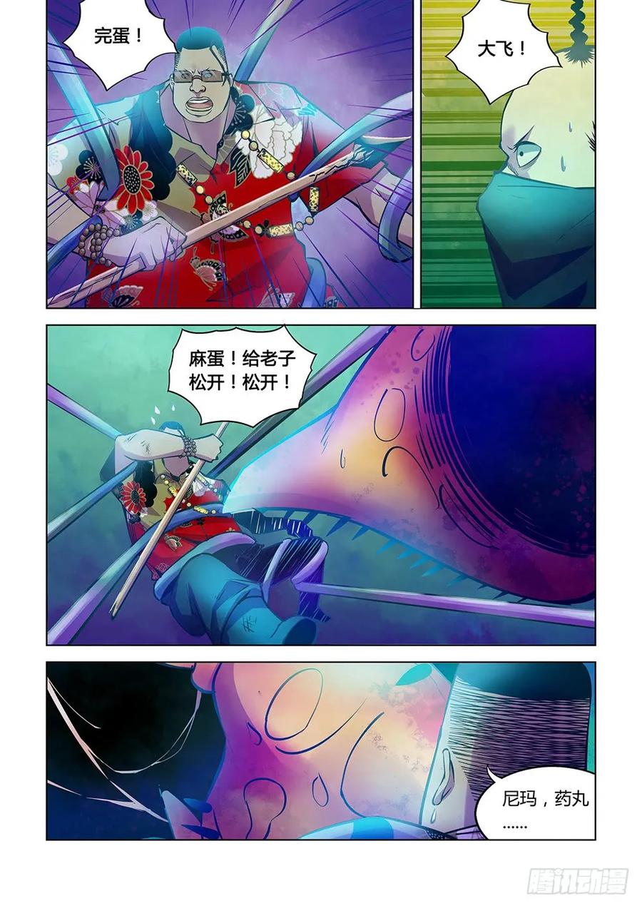 8.jpg