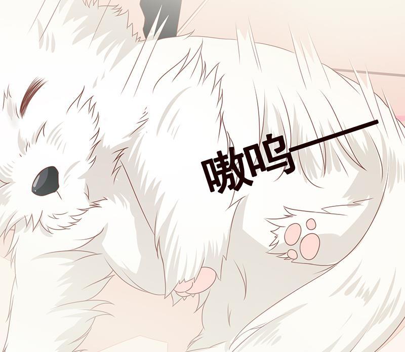 第10话临裆一脚-末世恋爱法则-虎岫工作室（第14张）