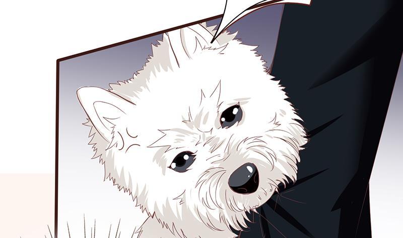 第10话临裆一脚-末世恋爱法则-虎岫工作室（第8张）