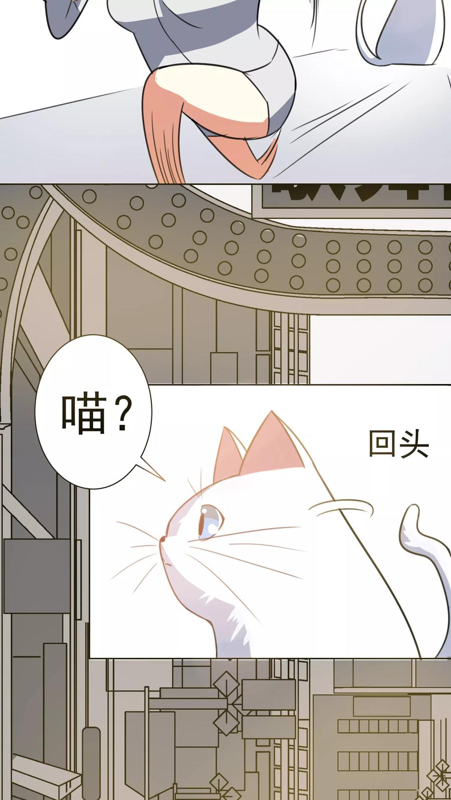 第33话-猫的制作人-极漫文化（第6张）
