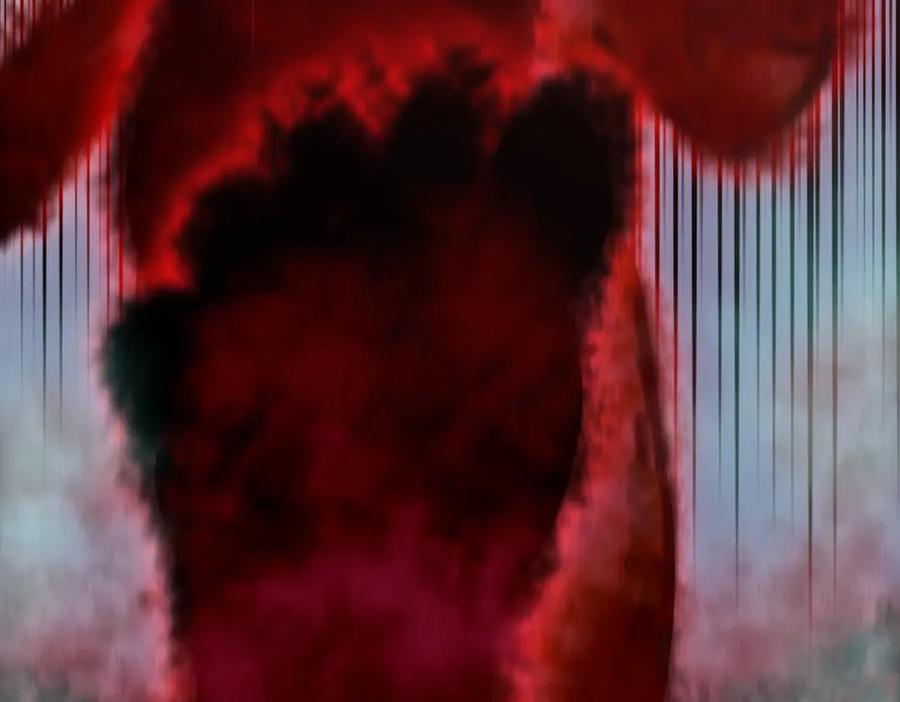 98.jpg