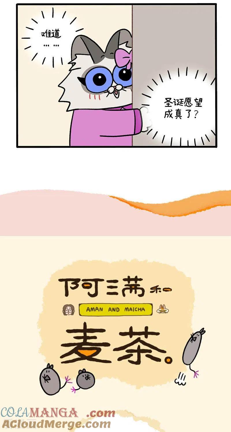 番外11上花娇的圣诞愿望1-阿满和麦茶-新漫画 日胖大海寺（第5张）