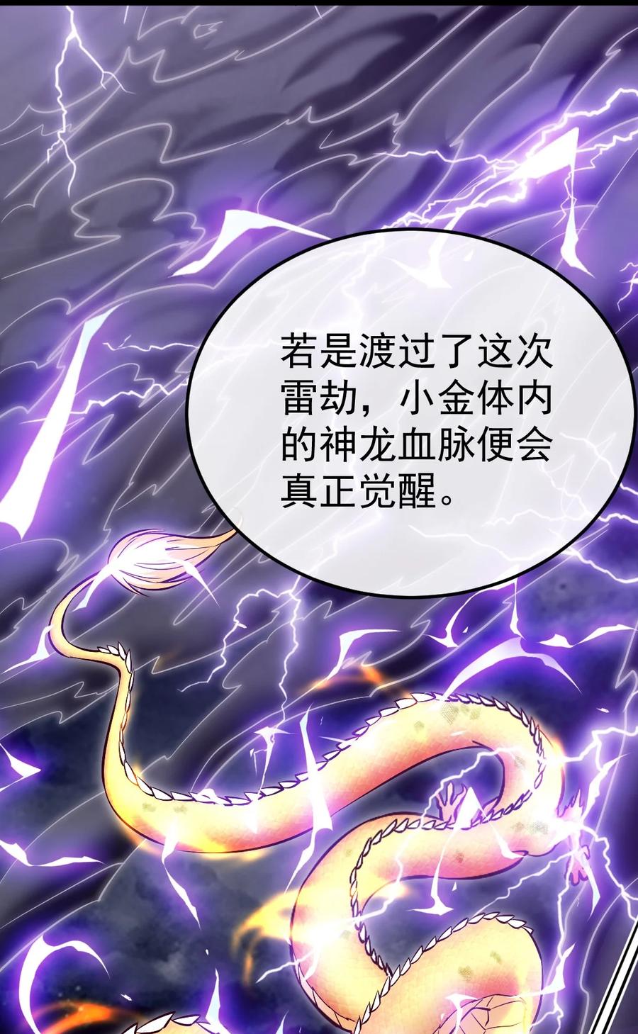 303小金的雷劫-魔兽剑圣异界纵横-大周互娱（第8张）