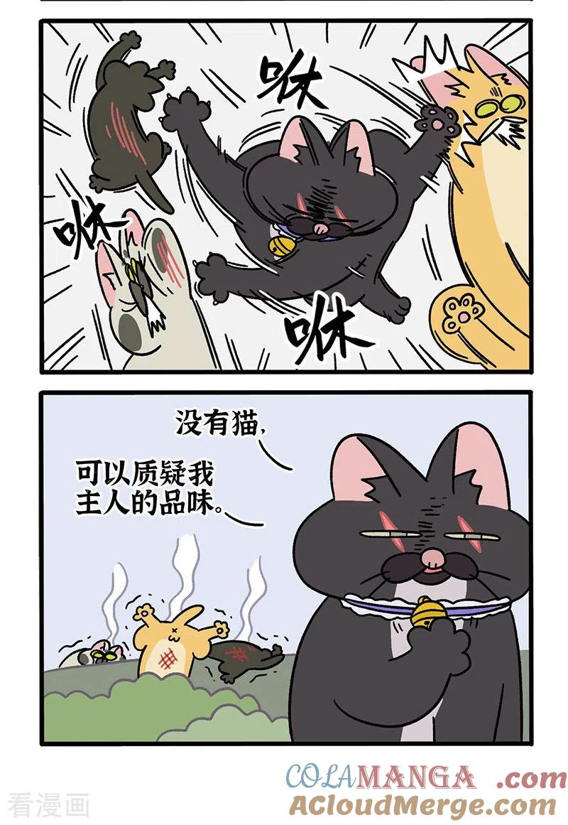 番外10疤脸猫传说-阿满和麦茶-新漫画 日胖大海寺（第4张）