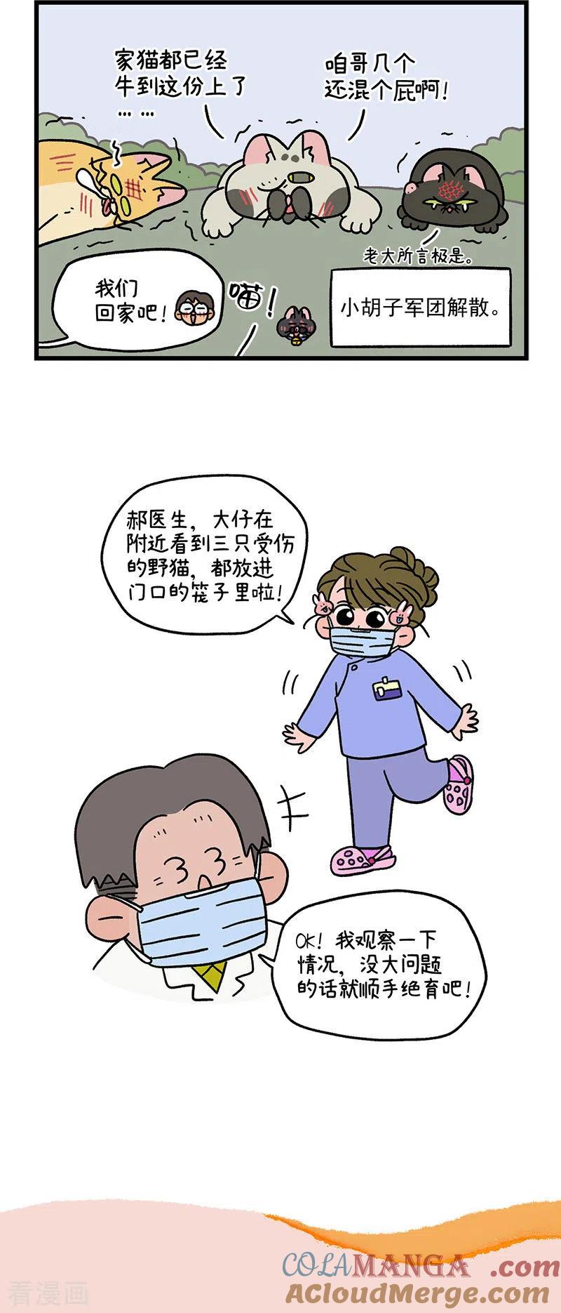 番外10疤脸猫传说-阿满和麦茶-新漫画 日胖大海寺（第6张）