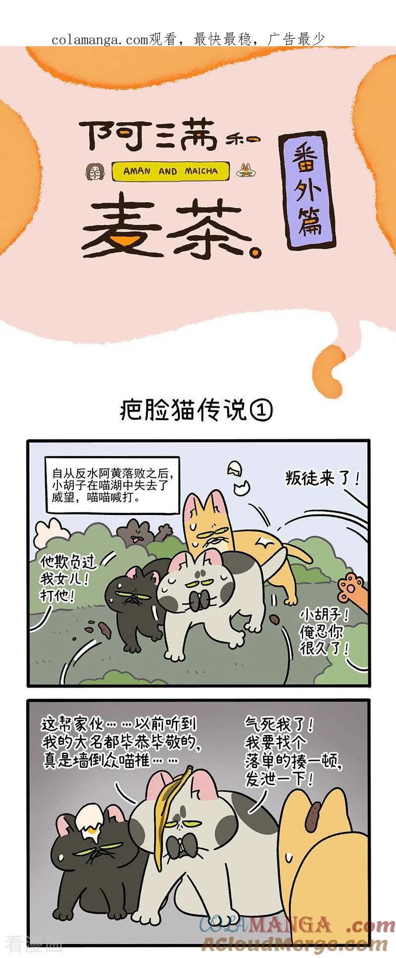 番外10疤脸猫传说-阿满和麦茶-新漫画 日胖大海寺（第1张）