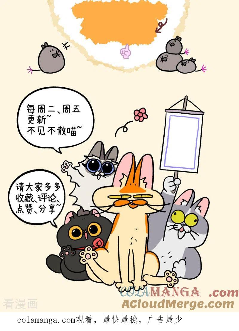 番外10疤脸猫传说-阿满和麦茶-新漫画 日胖大海寺（第8张）