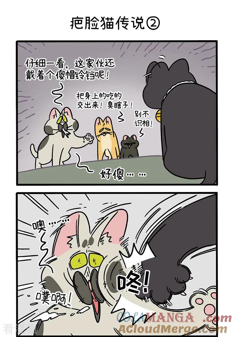 番外10疤脸猫传说-阿满和麦茶-新漫画 日胖大海寺（第3张）