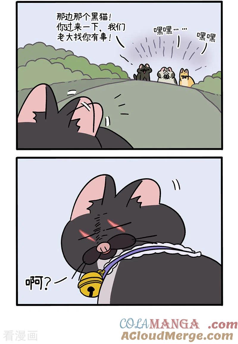 番外10疤脸猫传说-阿满和麦茶-新漫画 日胖大海寺（第2张）