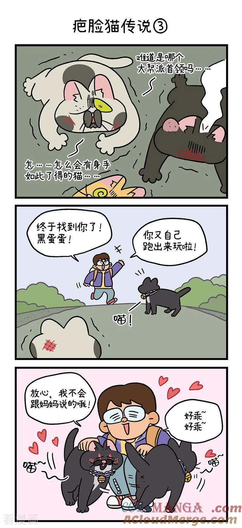 番外10疤脸猫传说-阿满和麦茶-新漫画 日胖大海寺（第5张）