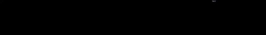 164.jpg