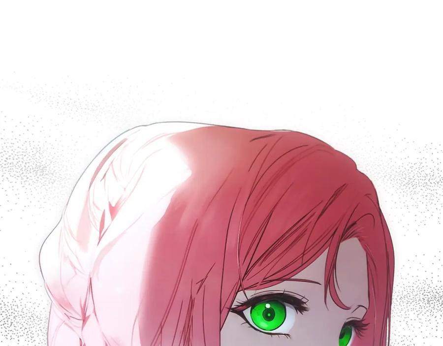 146.jpg