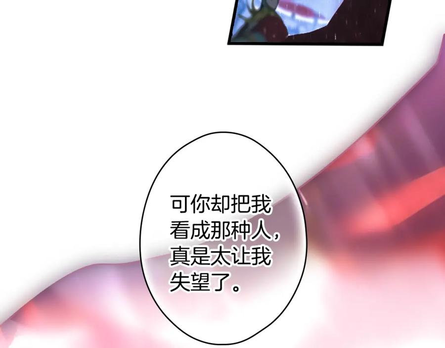 204.jpg