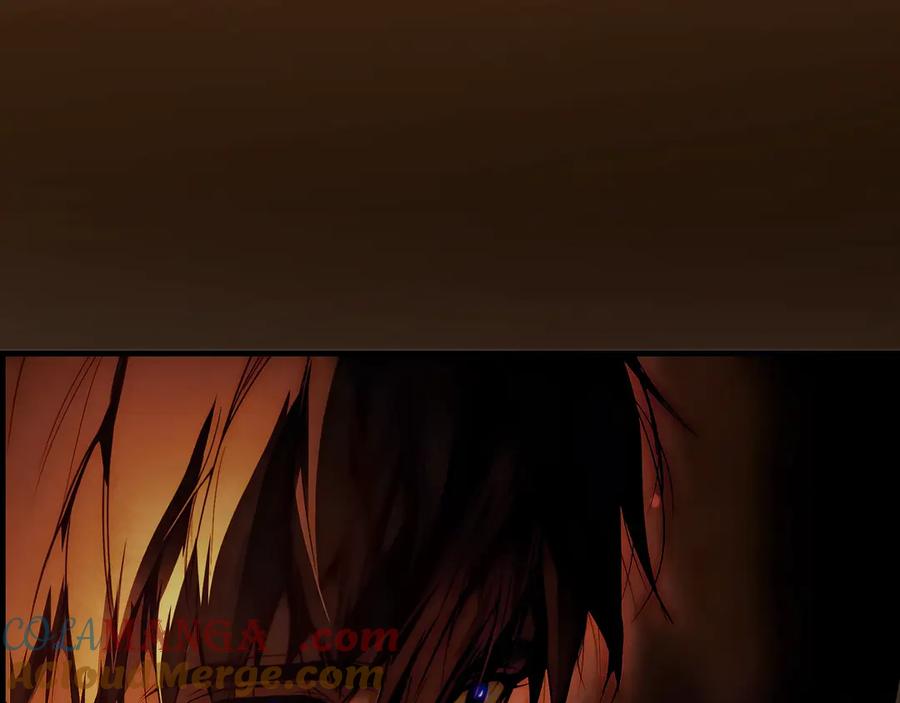 233.jpg