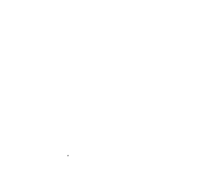 114.jpg